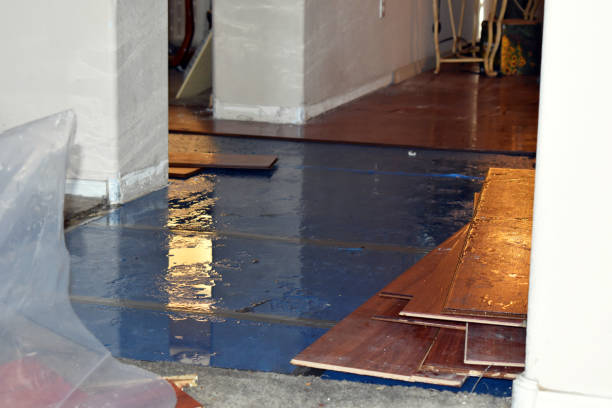Professional Sewage Cleanup technician working in Centreville, IL